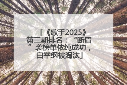 《歌手2025》第三期排名：“断眉”袭榜单依纯成功，白举纲被淘汰