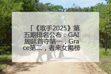 《歌手2025》第五期排名公布：GAI周延首夺第一，Grace第二，者来女揭榜成功，卫兰被淘汰