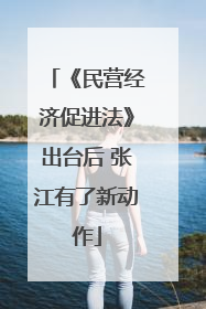 《民营经济促进法》出台后 张江有了新动作