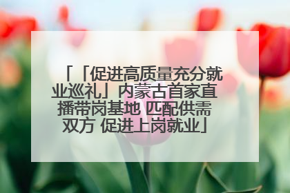 「促进高质量充分就业巡礼」内蒙古首家直播带岗基地 匹配供需双方 促进上岗就业