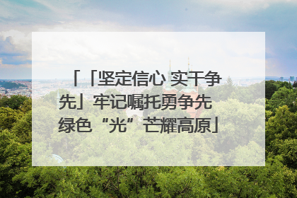 「坚定信心 实干争先」牢记嘱托勇争先 绿色“光”芒耀高原