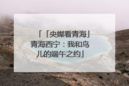 「央媒看青海」青海西宁：我和鸟儿的端午之约