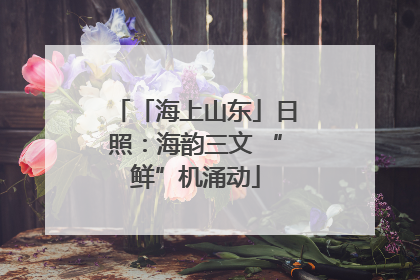 「海上山东」日照：海韵三文 “鲜”机涌动