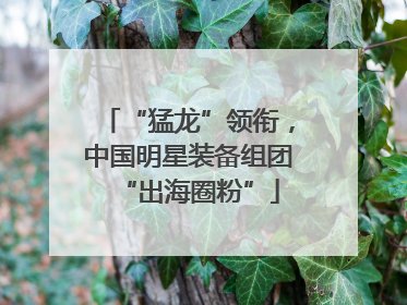 “猛龙”领衔，中国明星装备组团“出海圈粉”