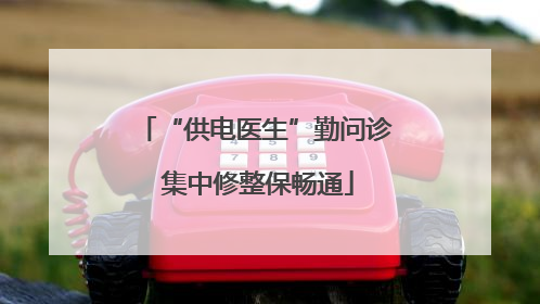 “供电医生”勤问诊 集中修整保畅通