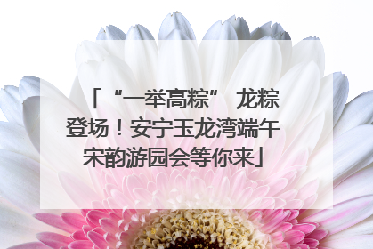 “一举高粽” 龙粽登场！安宁玉龙湾端午宋韵游园会等你来