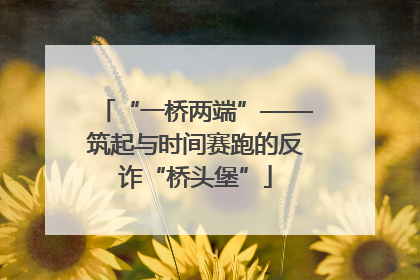 “一桥两端”——筑起与时间赛跑的反诈“桥头堡”
