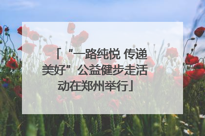 “一路纯悦 传递美好”公益健步走活动在郑州举行