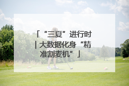 “三夏”进行时｜大数据化身“精准割麦机”
