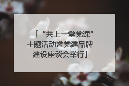 “共上一堂党课”主题活动暨党建品牌建设座谈会举行