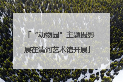 “动物园”主题摄影展在清河艺术馆开展