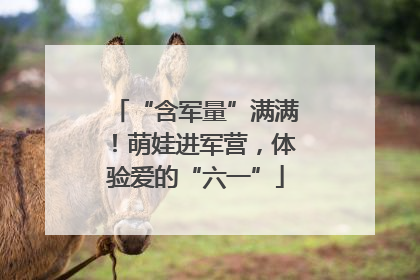 “含军量”满满！萌娃进军营，体验爱的“六一”