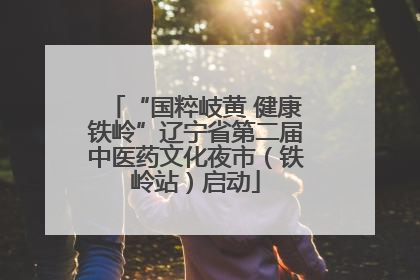 “国粹岐黄 健康铁岭”辽宁省第二届中医药文化夜市（铁岭站）启动