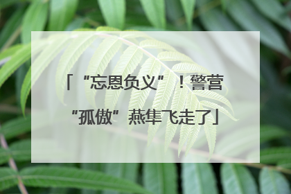 “忘恩负义”！警营“孤傲”燕隼飞走了