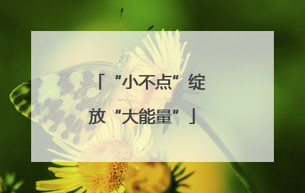“小不点”绽放“大能量”