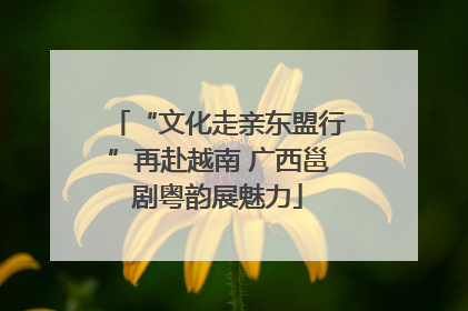“文化走亲东盟行”再赴越南 广西邕剧粤韵展魅力