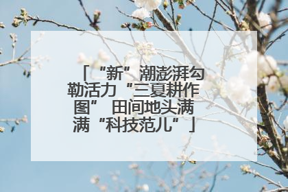 “新”潮澎湃勾勒活力“三夏耕作图” 田间地头满满“科技范儿”