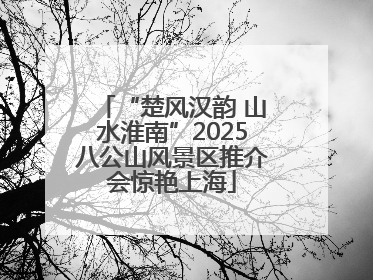 “楚风汉韵 山水淮南”2025八公山风景区推介会惊艳上海
