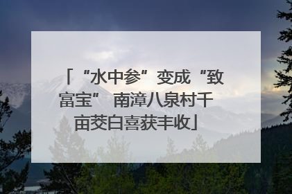 “水中参”变成“致富宝” 南漳八泉村千亩茭白喜获丰收