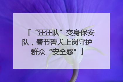 “汪汪队”变身保安队，春节警犬上岗守护群众“安全感”
