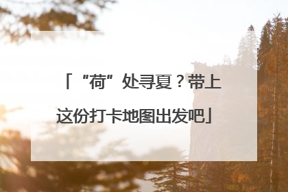 “荷”处寻夏？带上这份打卡地图出发吧