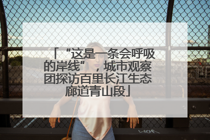 “这是一条会呼吸的岸线”，城市观察团探访百里长江生态廊道青山段