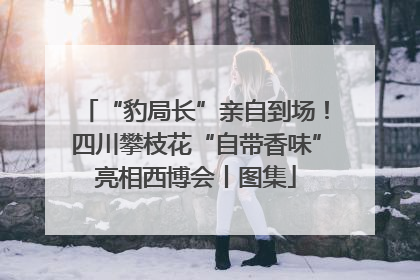 “豹局长”亲自到场！四川攀枝花“自带香味”亮相西博会丨图集