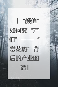 “颜值”如何变“产值”——“赏花热”背后的产业图谱