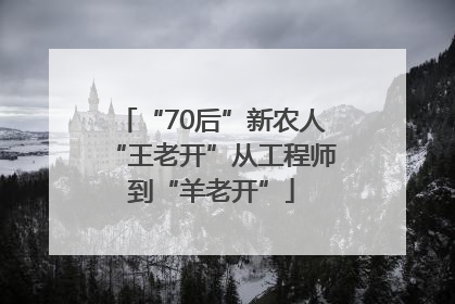 “70后”新农人“王老开”从工程师到“羊老开”