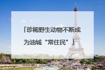 珍稀野生动物不断成为油城“常住民”