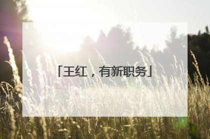 王红，有新职务