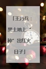 王乃兵：黑土地上“种”出红火日子