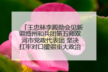 王忠林李殿勋会见新疆博州和兵团第五师双河市党政代表团 坚决扛牢对口援疆重大政治责任 推动双方实现优势互补务实合作