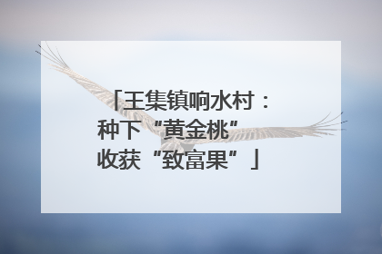王集镇响水村：种下“黄金桃” 收获“致富果”