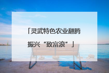 灵武特色农业翻腾振兴“致富浪”