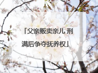 父亲贩卖亲儿 刑满后争夺抚养权