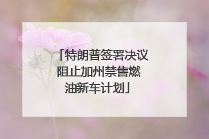 特朗普签署决议 阻止加州禁售燃油新车计划