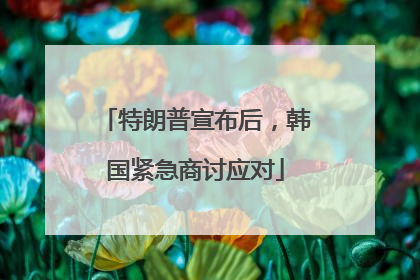 特朗普宣布后，韩国紧急商讨应对