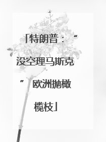 特朗普：“没空理马斯克” 欧洲抛橄榄枝