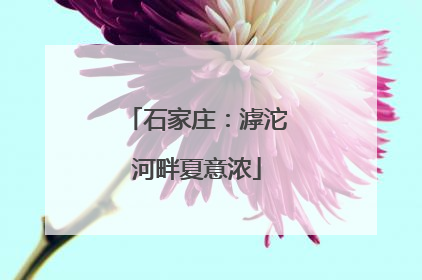 石家庄：滹沱河畔夏意浓