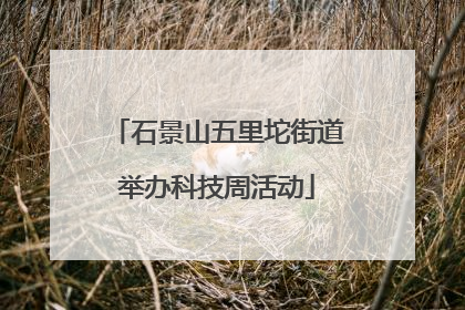 石景山五里坨街道举办科技周活动