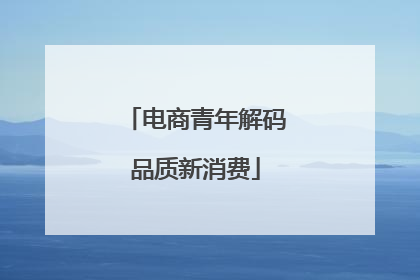 电商青年解码品质新消费
