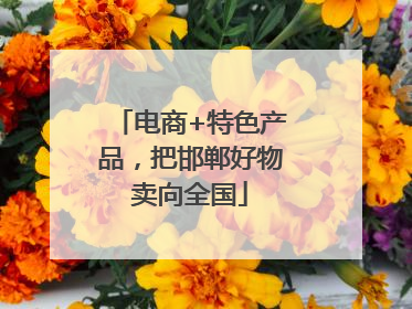 电商+特色产品，把邯郸好物卖向全国