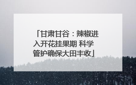 甘肃甘谷：辣椒进入开花挂果期 科学管护确保大田丰收