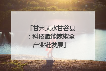 甘肃天水甘谷县：科技赋能辣椒全产业链发展