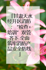 甘肃天水经开区消防：“检查+培训”双管齐下 全面筑牢消防产品安全防线
