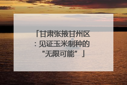 甘肃张掖甘州区：见证玉米制种的“无限可能”