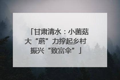 甘肃清水：小菌菇大“蘑”力撑起乡村振兴“致富伞”