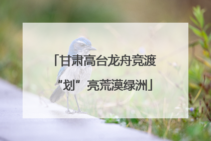 甘肃高台龙舟竞渡“划”亮荒漠绿洲