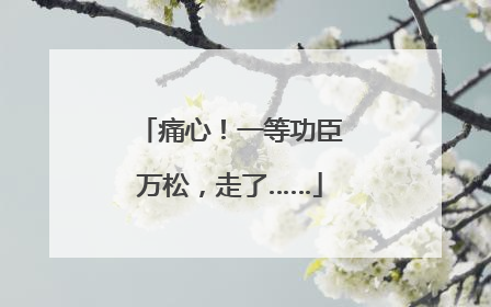 痛心！一等功臣万松，走了……